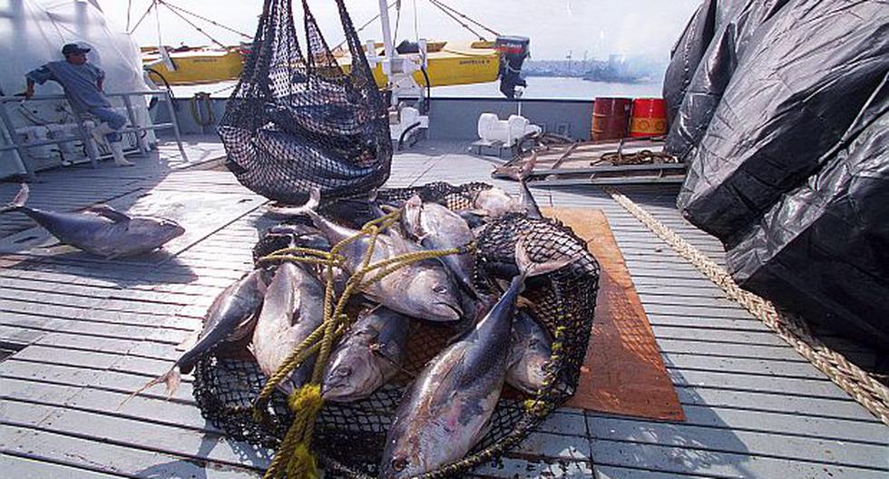 Produce provides a temporary reduction of fines for the aquaculture and fishing sector