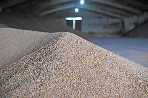 Record imports of corn are expected, despite the fact that its price rose 33% in the year