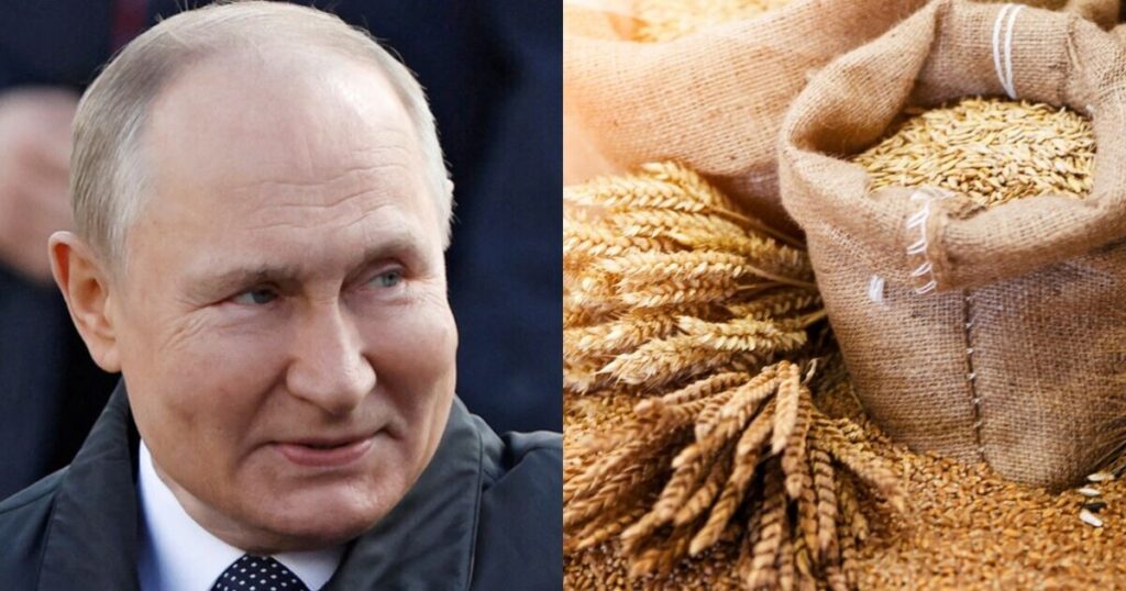 Russia plans to increase its grain exports