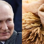 Russia plans to increase its grain exports