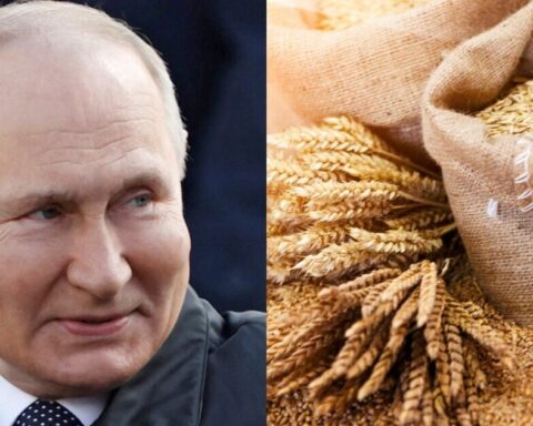 Russia plans to increase its grain exports