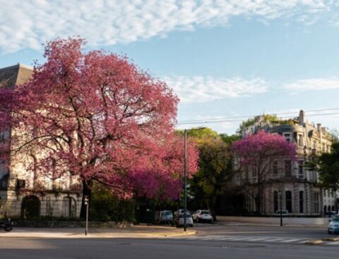 Saturday somewhat cloudy and with a maximum of 21 degrees in the City of Buenos Aires