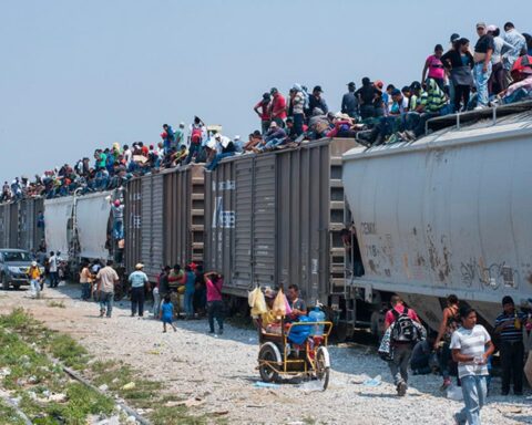 "La Bestia", el tren de los inmigrantes. Foto: International Organization for Migration.