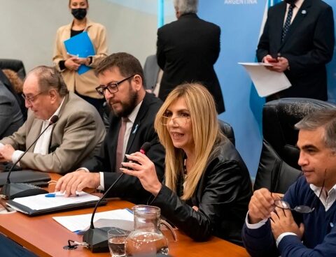 Single Ballot Debate: "It is imprudent to give a political reform in a hurry"