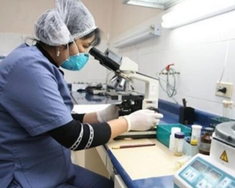 Sunedu: Eight universities with licenses to offer a medical degree in Peru