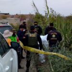Tacna: Neighbors find a body when they were going to celebrate Mother's Day (VIDEO)