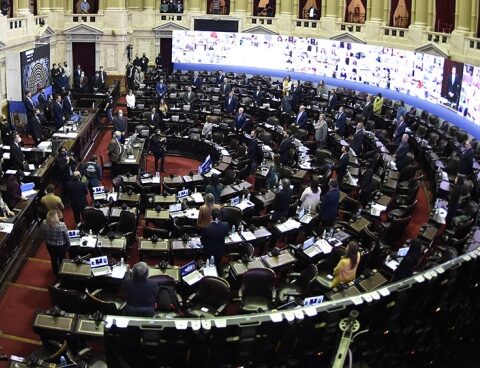 The Chamber of Deputies completes its grid with 46 commissions