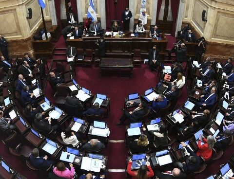 The Senate approved the creation of the Norte Grande Argentino Region