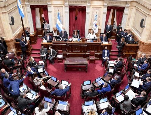 The Senate will debate this Thursday the project to pay the IMF with leaked money