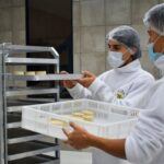 The first regional factory that produces 100% plant-based cheeses is inaugurated