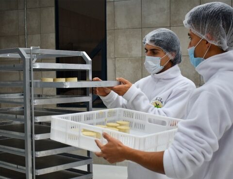 The first regional factory that produces 100% plant-based cheeses is inaugurated