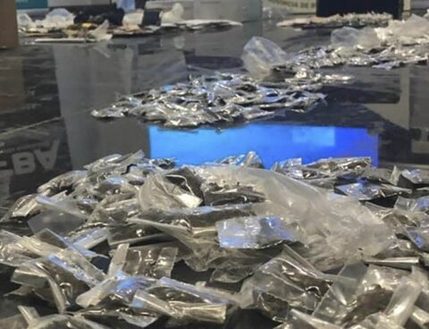 The plenary session of the Supreme Court debates drug trafficking in Rosario