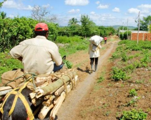 The three keys to developing the Colombian countryside, according to the SAC