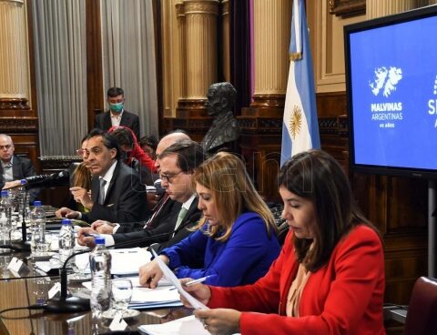 The treatment of the projects to reform the composition of the Supreme Court continues