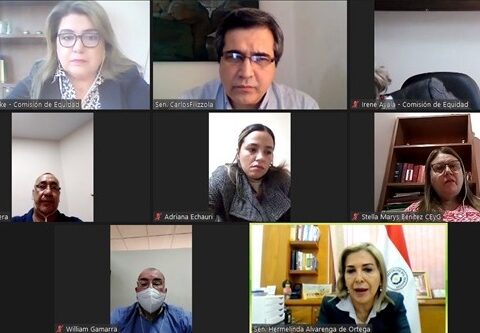 They analyze free provision of elements for menstrual management