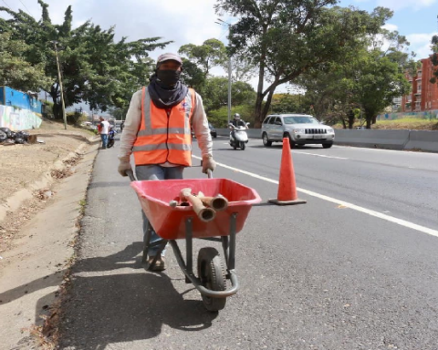 They carry out "Plan pica, poda y tala" on the Gran Cacique Guaicaipuro highway