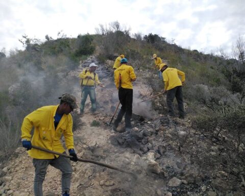 Lograron extinguir incendio en Parque Nacional El Morro