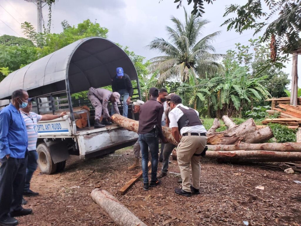 Ocupan caobas de las taladas por el director de Junta Distrital Palmarejo