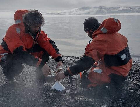 They seek to understand the behavior of active volcanoes in Antarctica