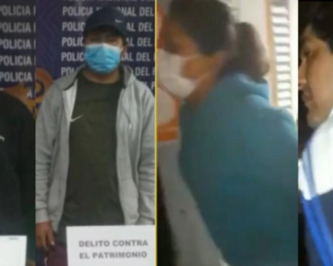 They sold false vaccination cards for S / 140 in Arequipa (VIDEO)