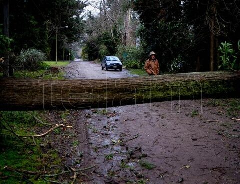 They warn for the formation of a "extratropical cyclone" that will affect the Buenos Aires coast