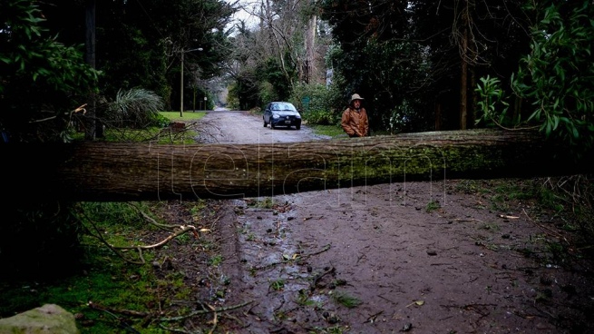 They warn for the formation of a "extratropical cyclone" that will affect the Buenos Aires coast