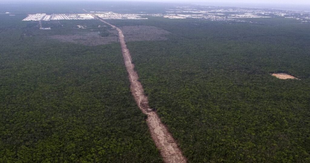 “They will not be able to stop us”, says AMLO after suspension of Section 5 of the Mayan Train