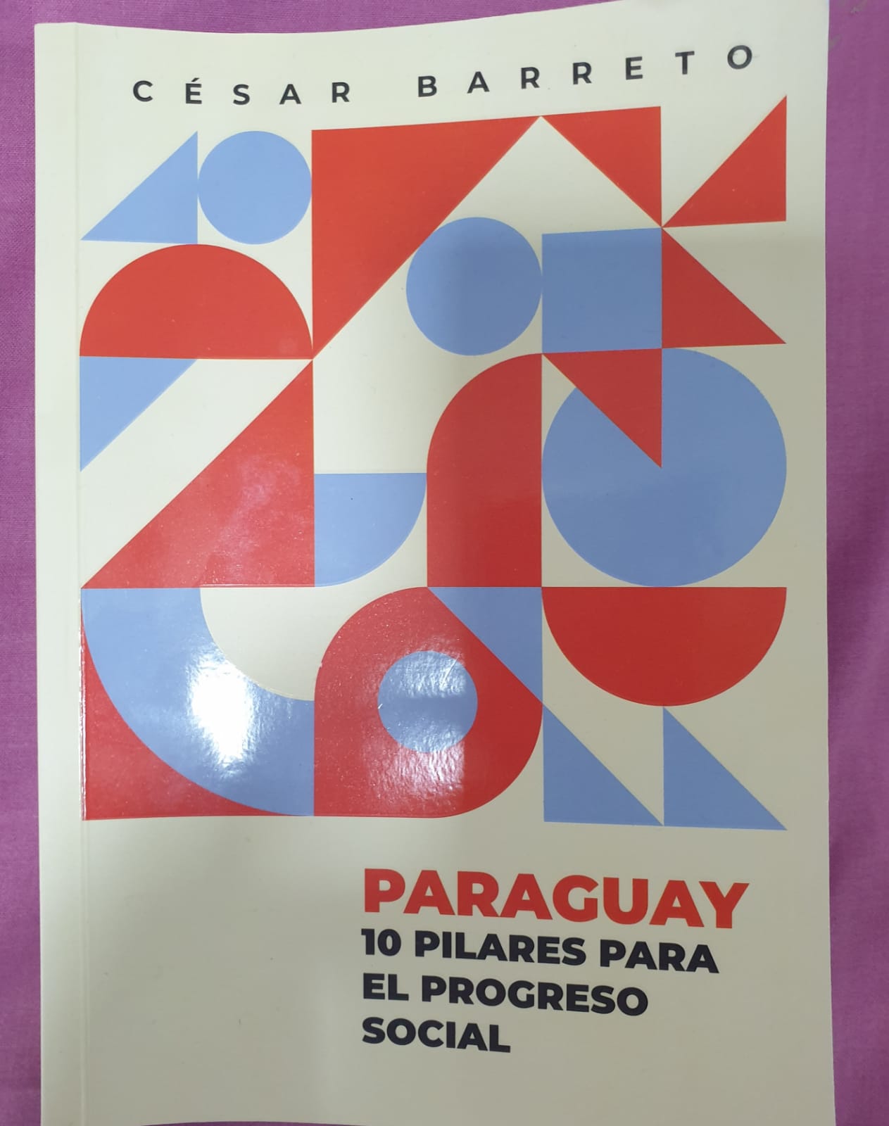 Today they present the book “Paraguay.  10 pillars for social progress”