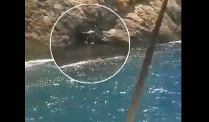 Video: He jumped off a cliff without thinking that a huge rock would lead him to death