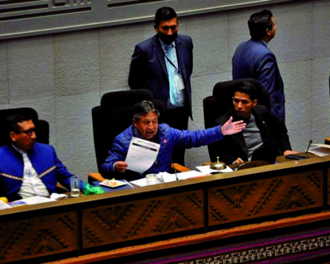 Voting for Defensor shows division of the MAS and weight of Arce