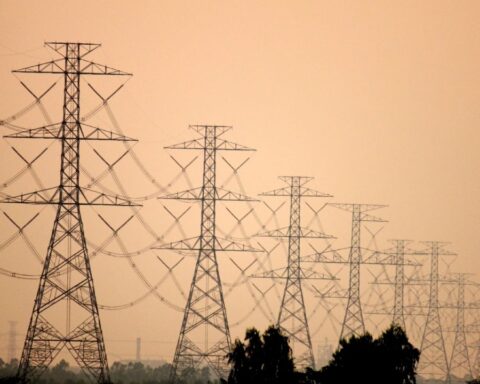 What is the segmentation of rates for electricity and gas services?