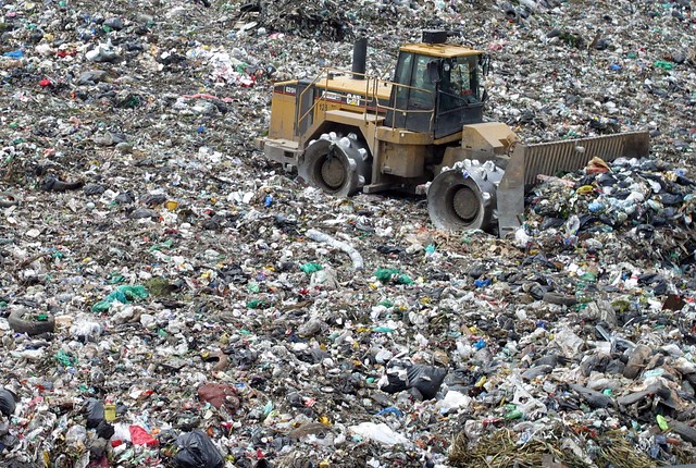 World Recycling Day: How much waste does Bogota generate vs. how much is recycled?