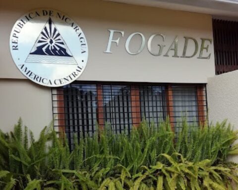 gobierno nombra presidencia de Fogade