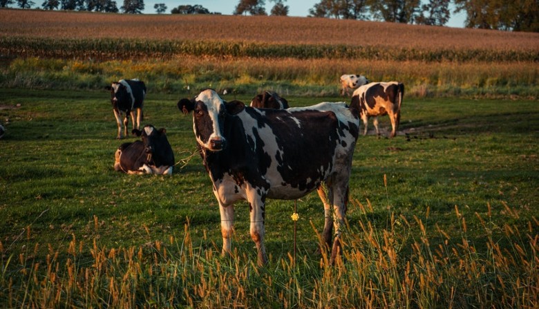 57% of Uruguay's greenhouse gas emissions come from agriculture