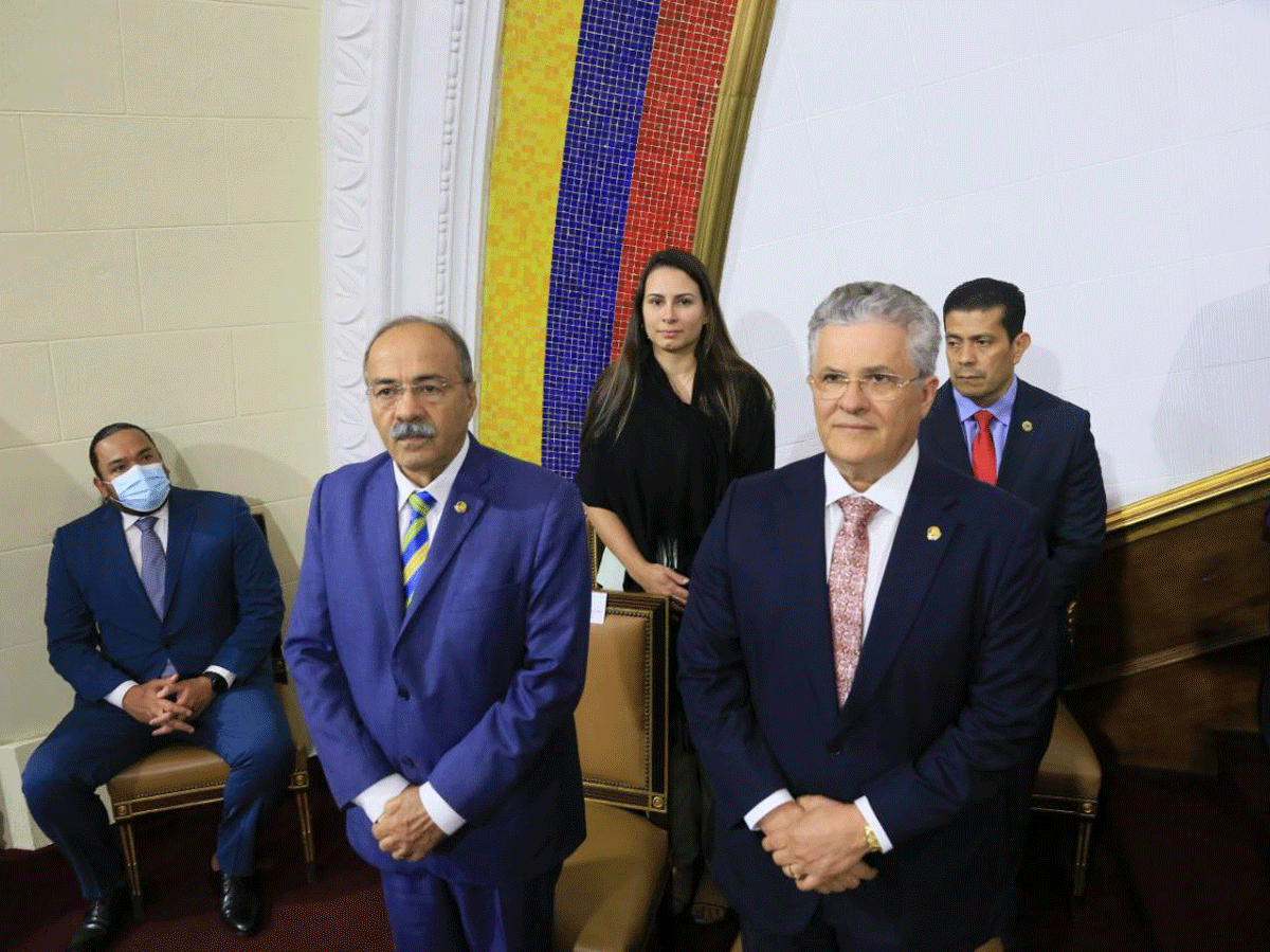 AN receives members of the Brazilian parliamentary friendship group