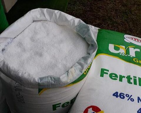 Agro Rural has not yet canceled the purchase of fertilizers, despite complaints of irregularities