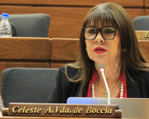 Amarilla trusts the work of Liliana Alcaraz on the Cartes case