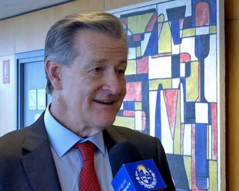 Antel registered an increase of 25,000 users in the first five months of the year