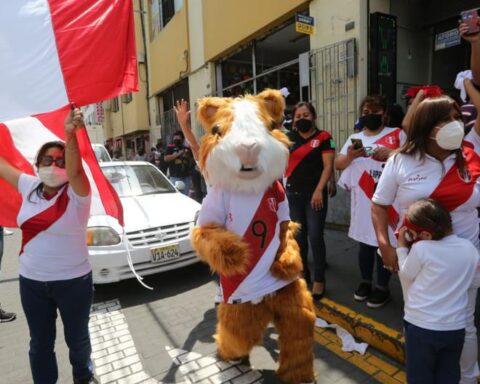 Arequipa: Peruvian national team jersey manufacturers will be recognized by Congress