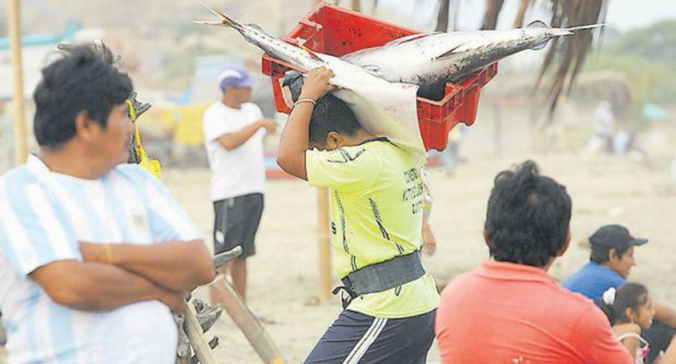 Artisanal fishermen from Tumbes receive more than S/ 1.1 million to strengthen their businesses