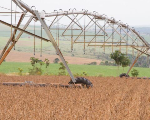 At war, Russia promises to maintain fertilizer trade with Brazil