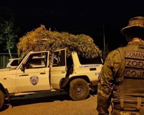 Ceofanb disables marijuana cultivation in the state of Sucre