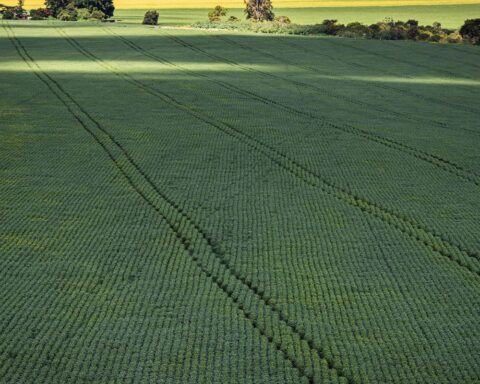 Chamber approves MP that facilitates fundraising for the rural sector