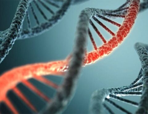 Chubut will host the meeting on "discussion of indigenous ancestry from DNA"