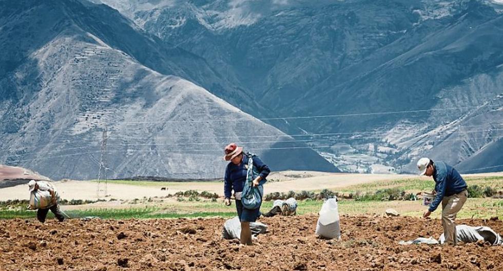 Congress approves modifying Sierra y Selva Exportadora, which will now be called Agromercado