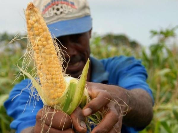 Corn, meat and nitrogen, among those that could drop in price