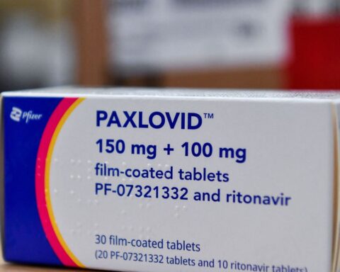 Covid-19: trial with paxlovid in low-risk volunteers is suspended