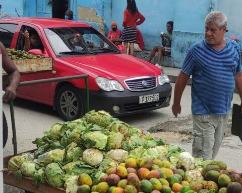 Cuba, in a terrible situation to face the food crisis created by the war in Ukraine