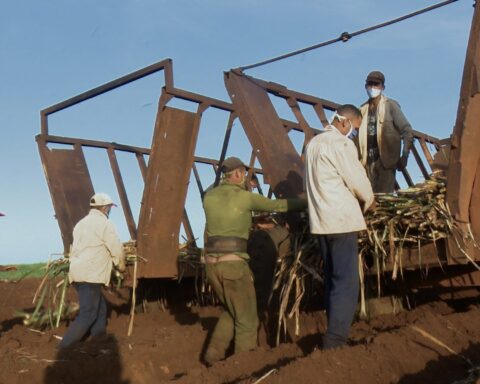 Siembra de caña en Cuba. Foto: TV Yumurí / Archivo.