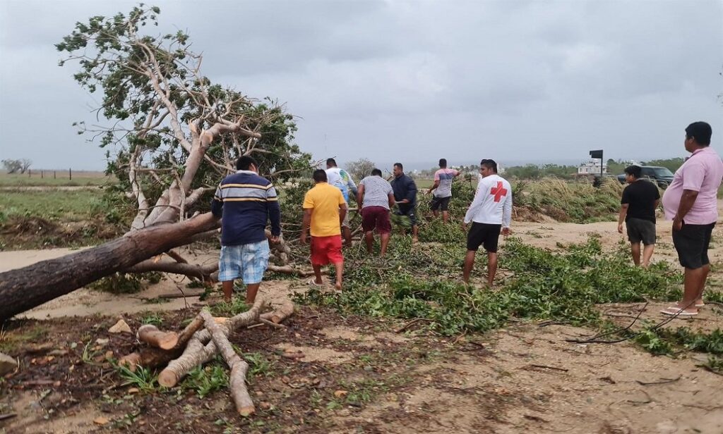 Personas y miembros de la Cruz Roja retiran árboles caídos de la carretera debido a las afectaciones por el paso del ciclón Agatha, en la comunidad de Agua blanca en el estado mexicano de Oaxaca. Foto: Daniel Ricardez / EFE.